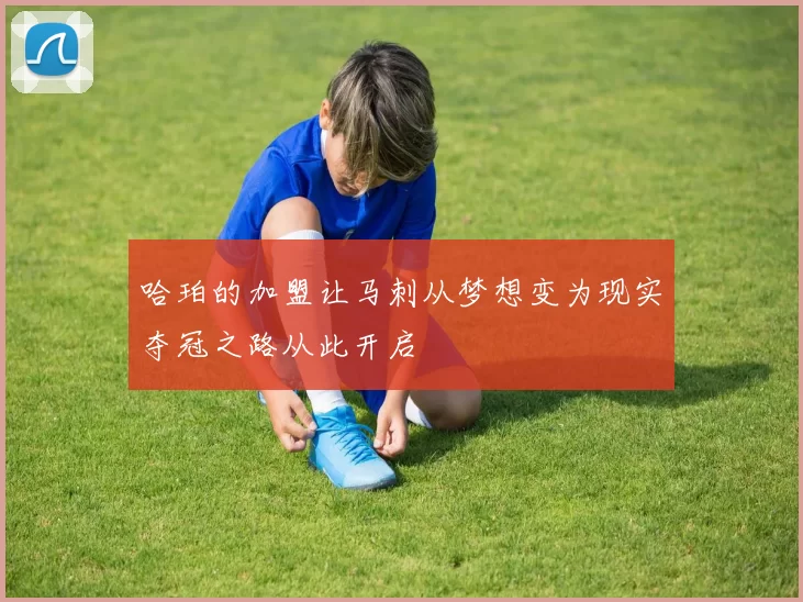 哈珀的加盟让马刺从梦想变为现实夺冠之路从此开启