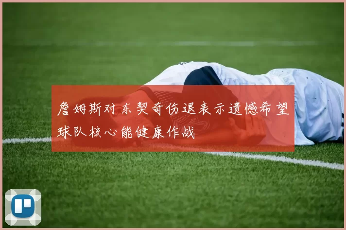 詹姆斯对东契奇伤退表示遗憾希望球队核心能健康作战
